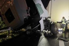 d71806d1-5c5a-4dea-8955-f93cd7dd347f